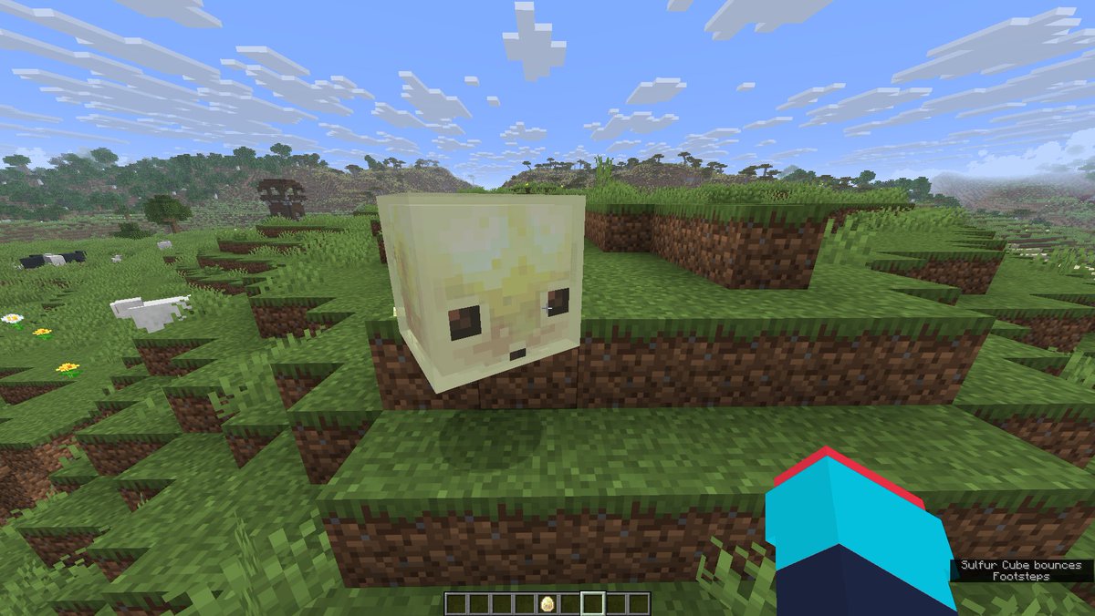 andy 🍪 tweet media