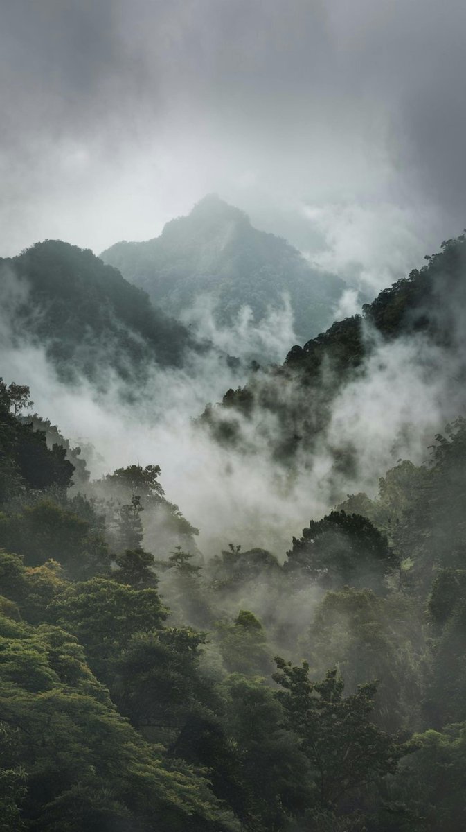 Alayah  Lowe tweet media