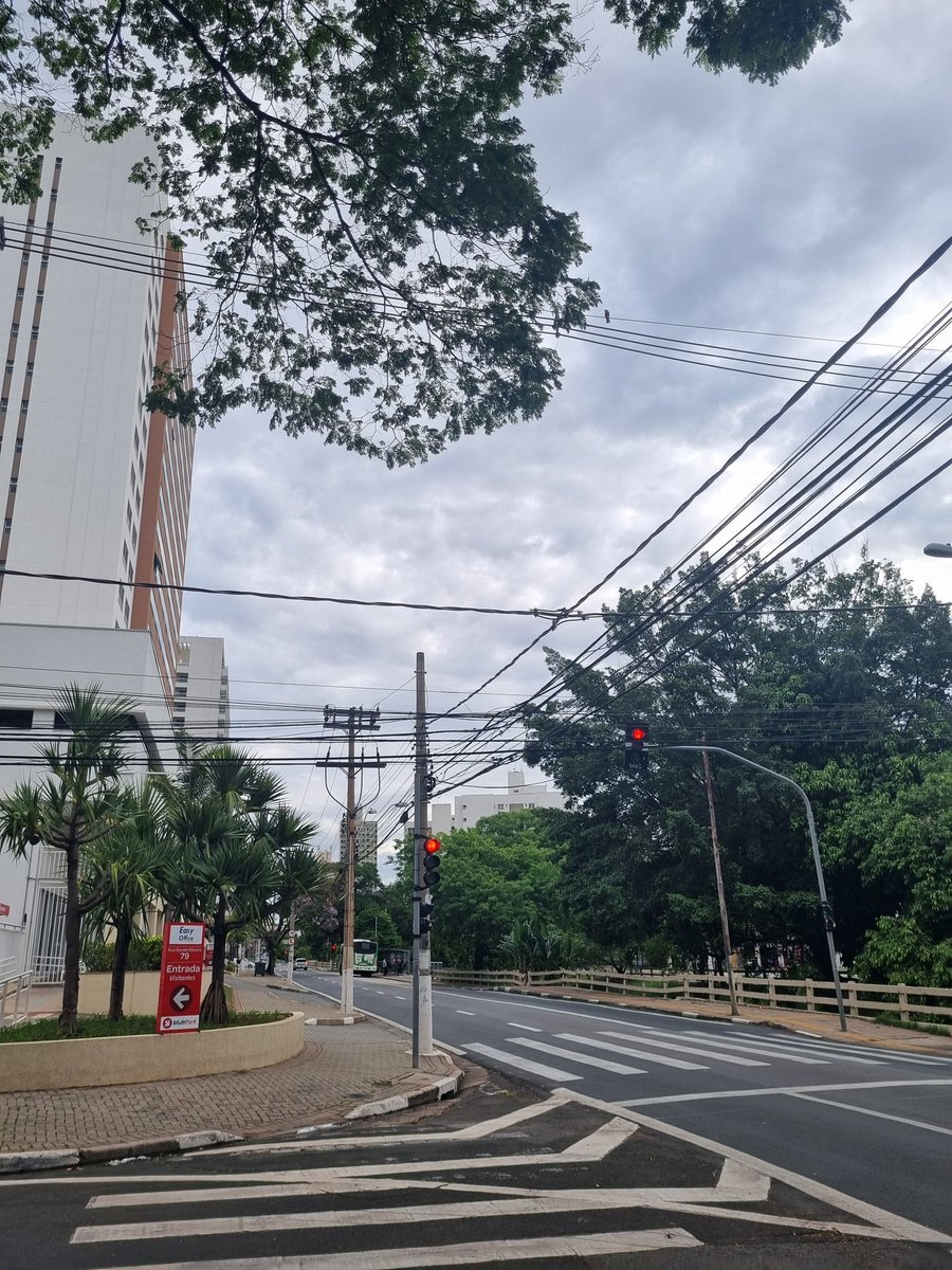 Nori ʕ •ᴥ•ʔ tweet media