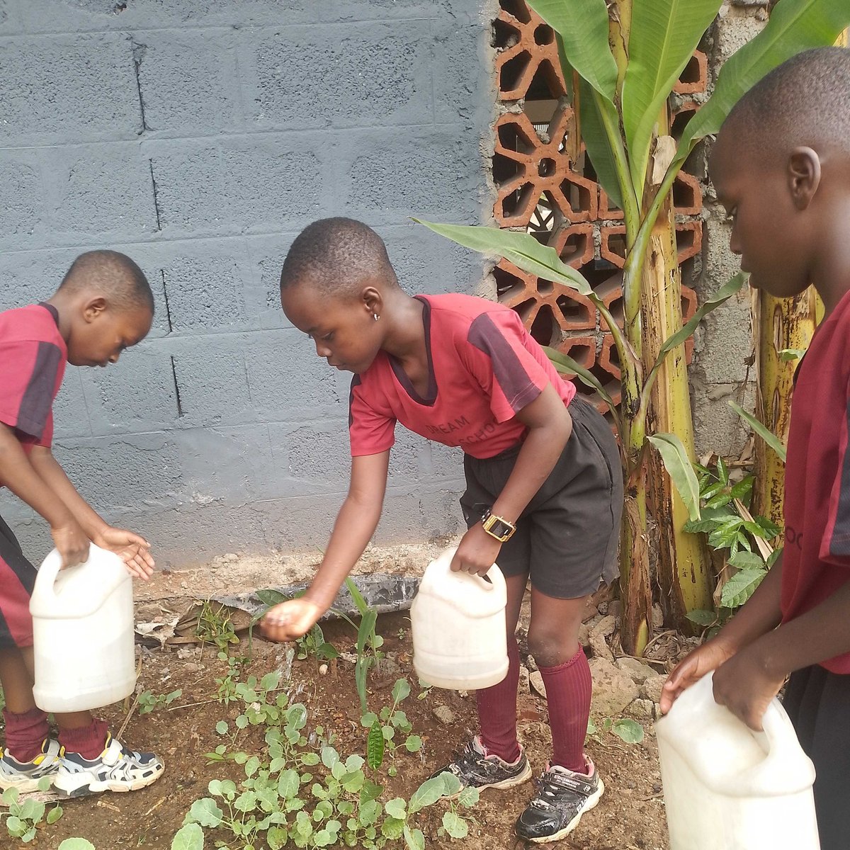 Dream Africa Schools tweet media