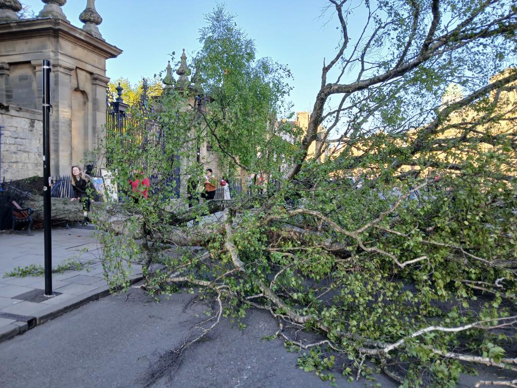 Blackwell's, Oxford’s Bookshop tweet media