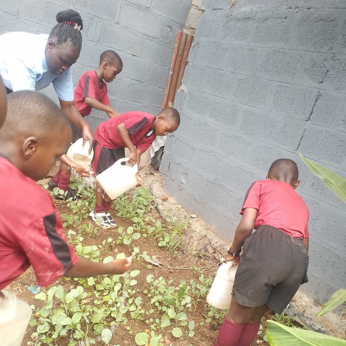 Dream Africa Schools tweet media