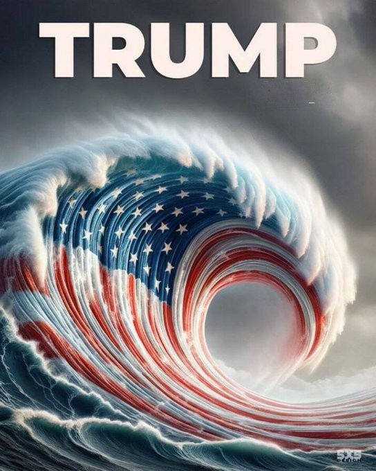 Dback Fan tweet media