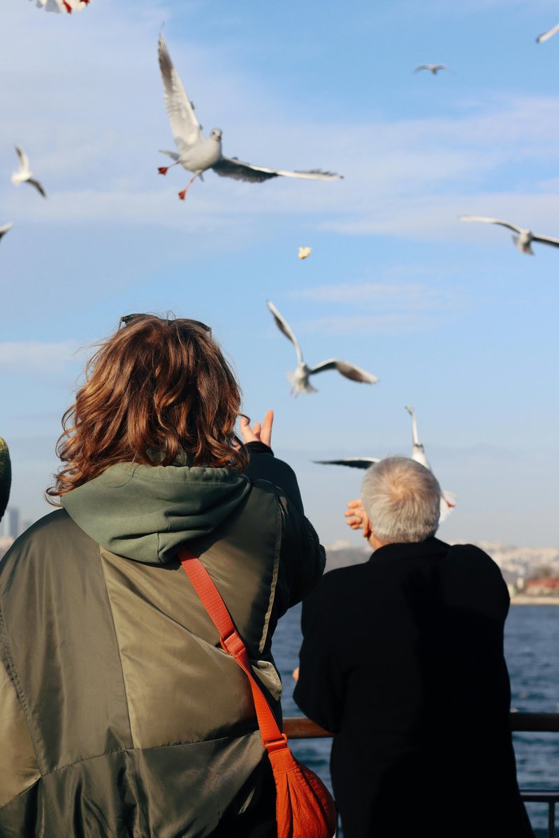 Billy Hallowes tweet media