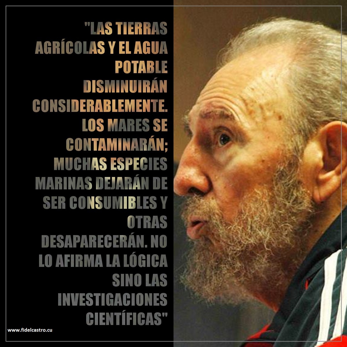 📅25 de abril de 2010 ✍️#FidelCastro: “ (...) Los mares se contaminarán; muchas especies marinas dejarán de ser consumibles y otras desaparecerán. No lo afirma la lógica sino las investigaciones científicas.”

fidelcastro.cu
#100AñosConFidel #Cuba #Revolución