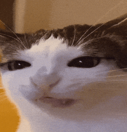 ☆ * 𝓜𝓲𝓻𝓲 ⋆ ˚ ❀ tweet media