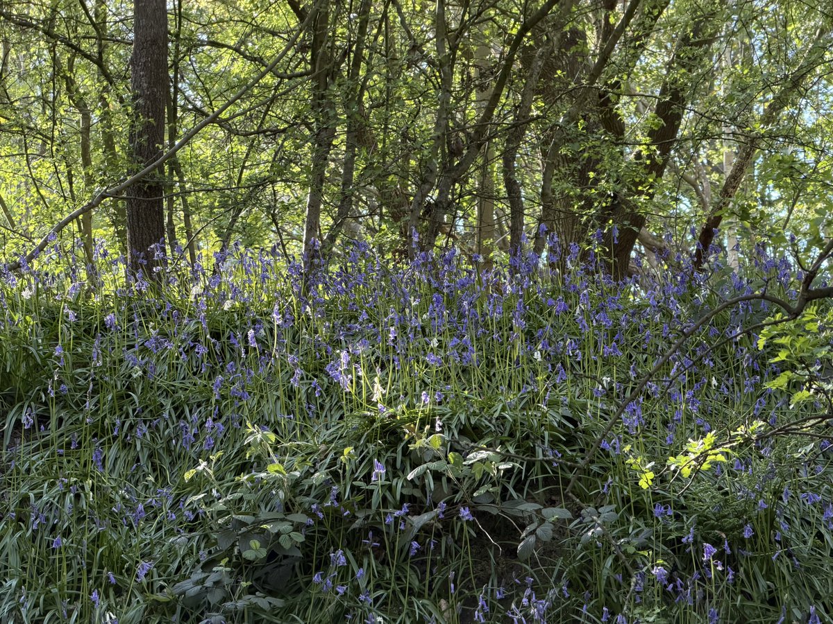 rly cool girl tweet media