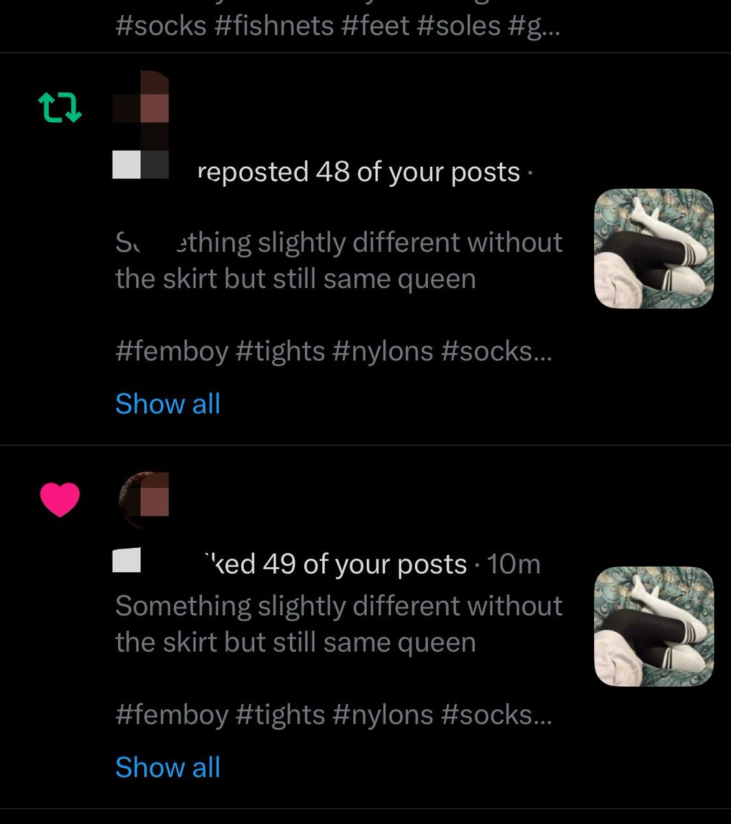 Terra 🦖 tweet media