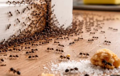 Ex54yumD72's tweet image. #BTCUSDT #Bitcoin #BTCUSD you know ,8.2 billion humans .