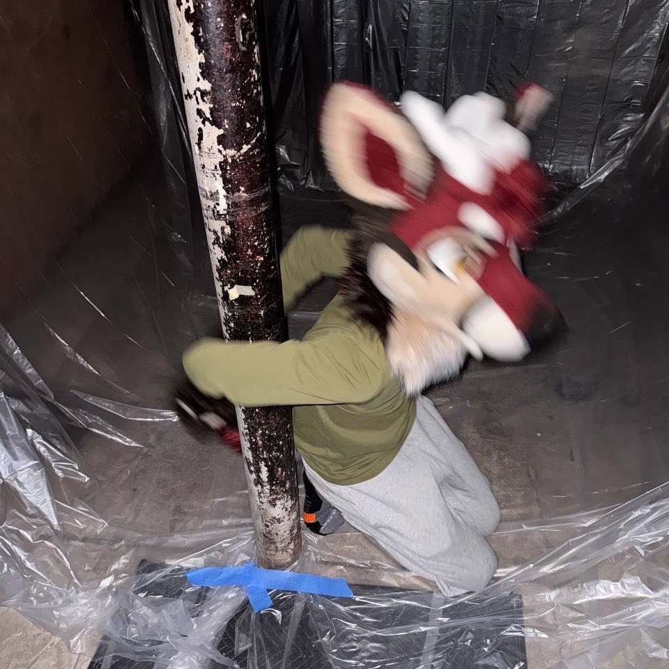 🦌 Sochi 🔜 AC tweet media