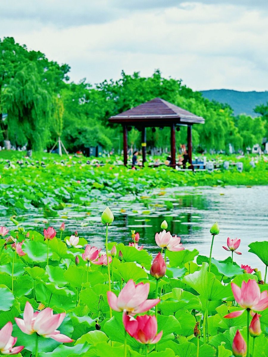 Keith Staley tweet media