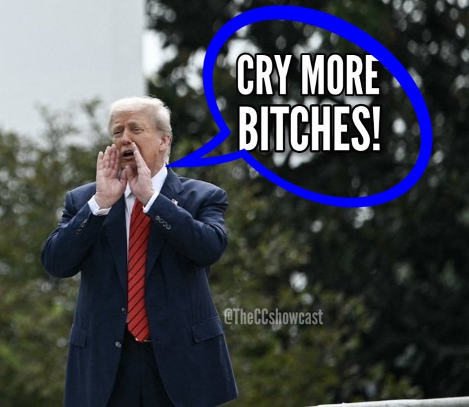 Dback Fan tweet media