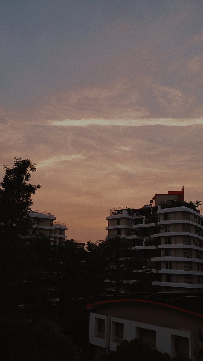 Narawin🐻🐼 tweet media