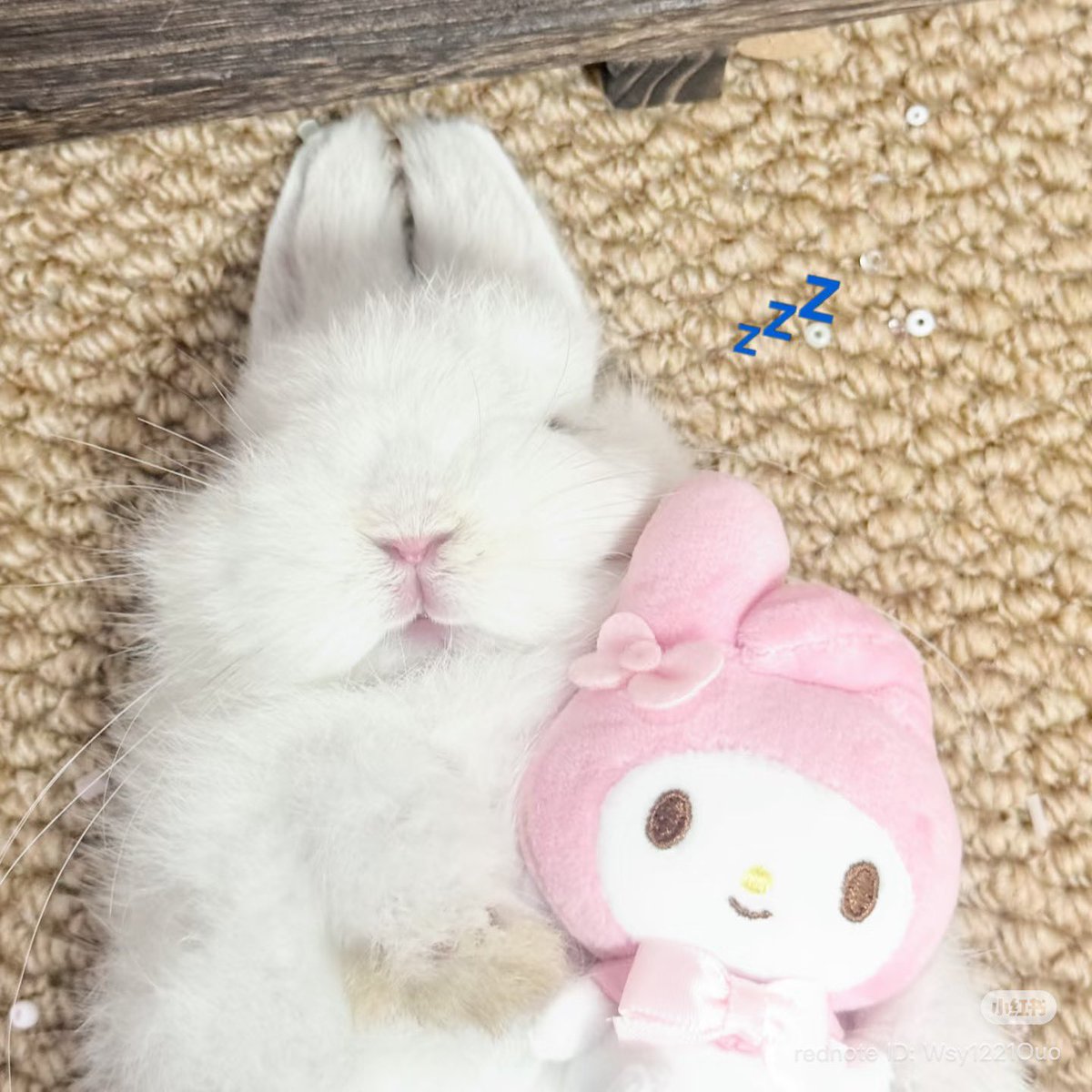 kimi 𐚁 ྀིྀིྀིྀིྀི (@piinkimi_) on Twitter photo 