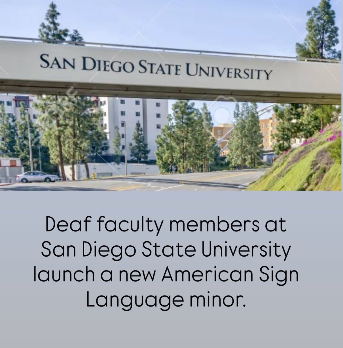 Deaf News Today tweet media
