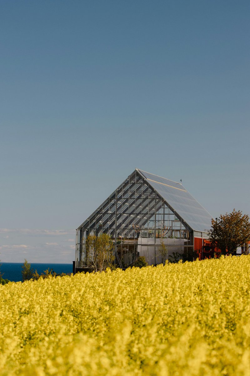 Juan Manuel Oliva tweet media