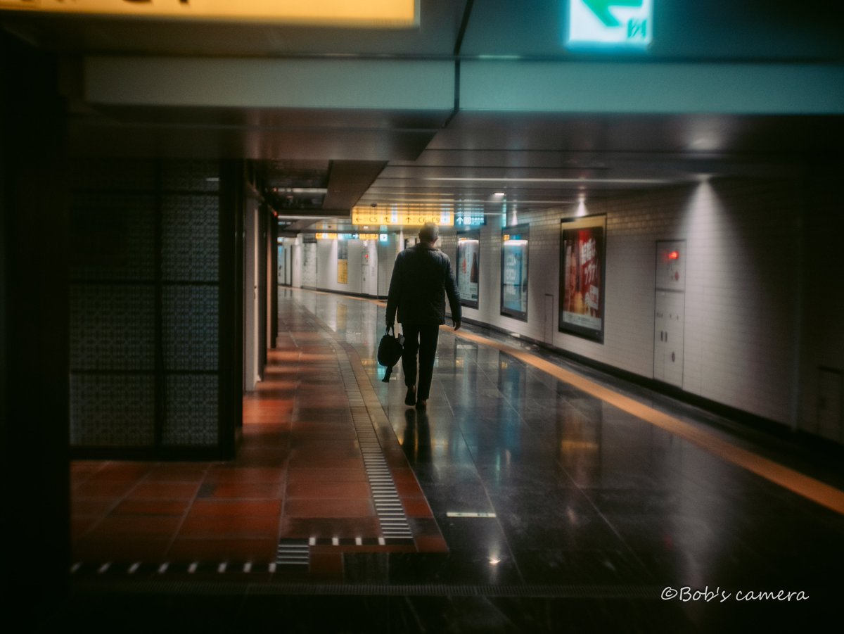 よボブ tweet media