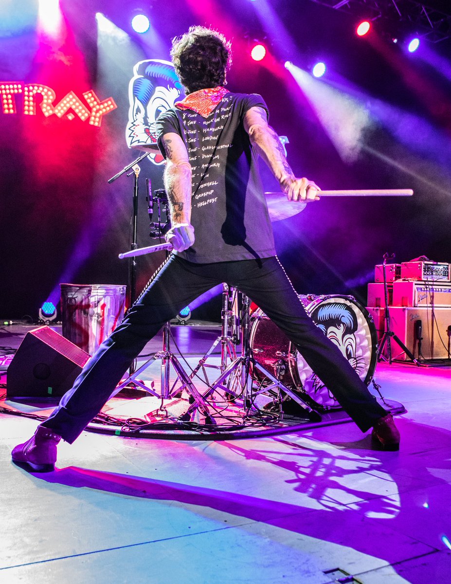 Brian Setzer tweet media