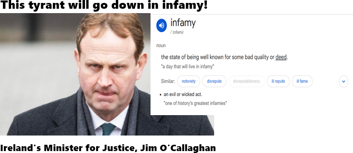 Here's the two so-called Irish Minister's for Justice that gave the go-ahead to initiate violence against peaceful Irish demonstrators. People standing up to having Illegal migrant men being dumped into communities &amp; farmers/hauliers having their livelihoods stolen from them👇👇