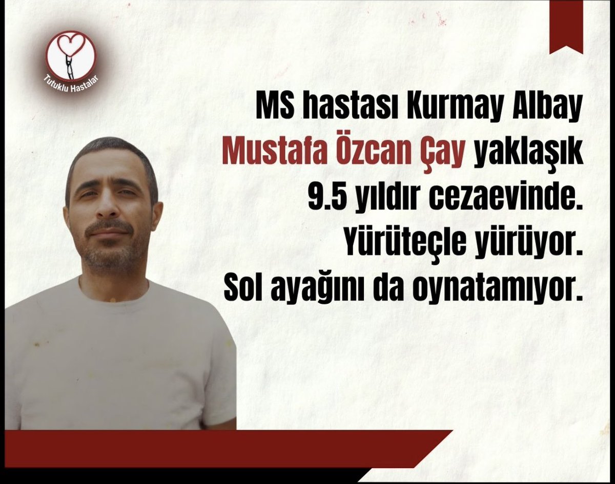 sinatela tweet media