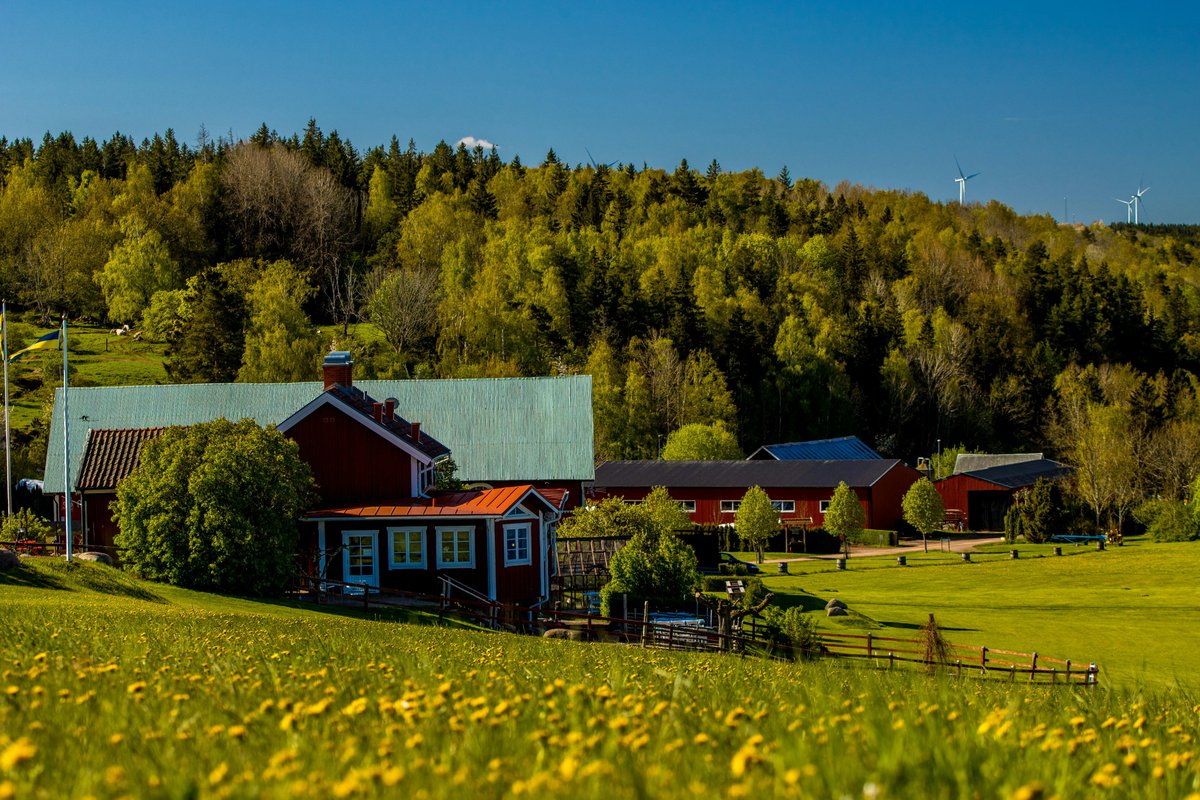 Bulovaaan8 Gmail.com tweet media