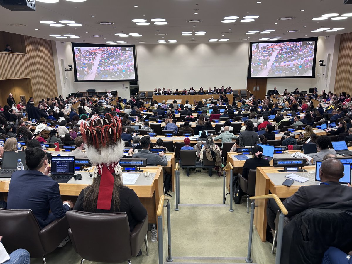 AFN tweet media