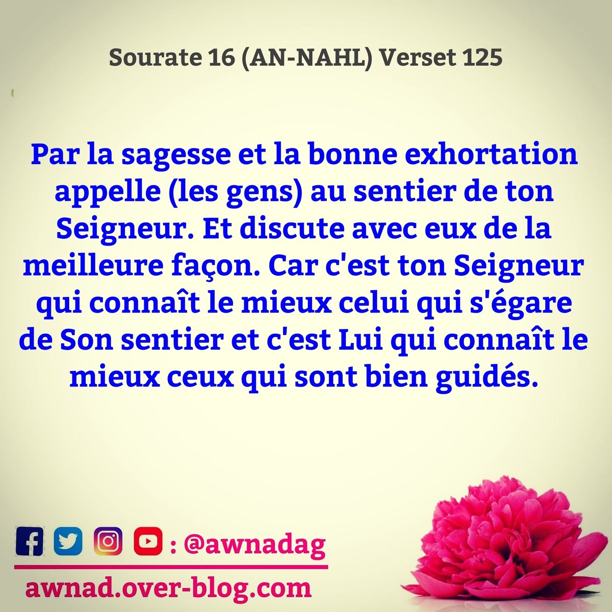 . tweet media