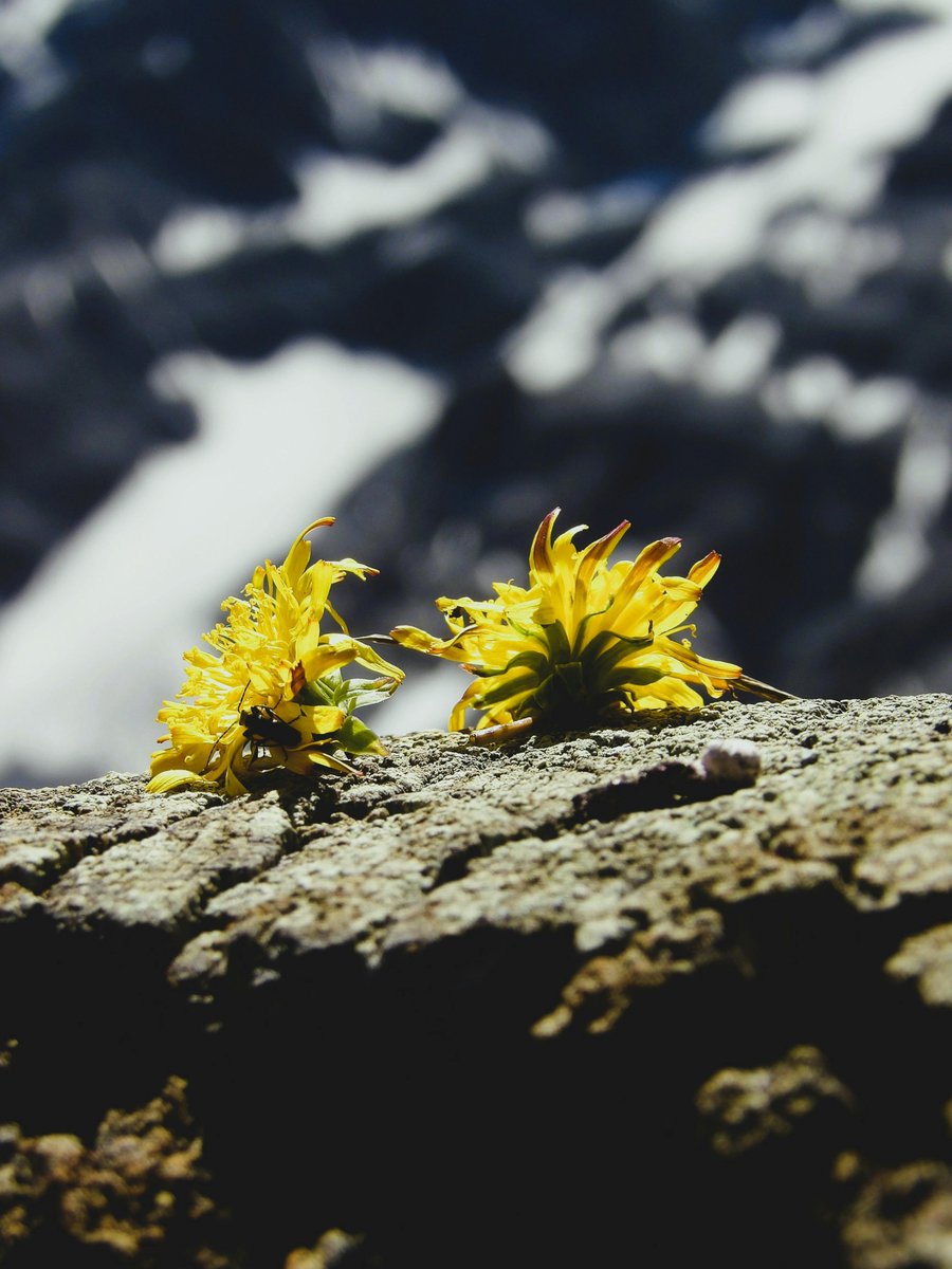 이수명 tweet media