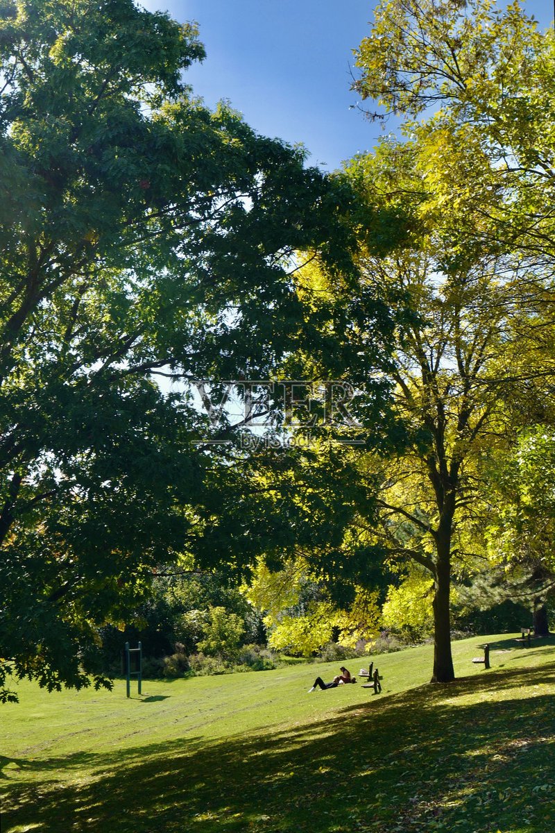 Amaya76259595's tweet image. " Community Clean-Up Day! This Sat (10 AM) at Maple Park—bring gloves/bags, meet new neighbors, keep our space green. Snacks provided! Let’s make a difference! #NeighborLove #LocalGood"