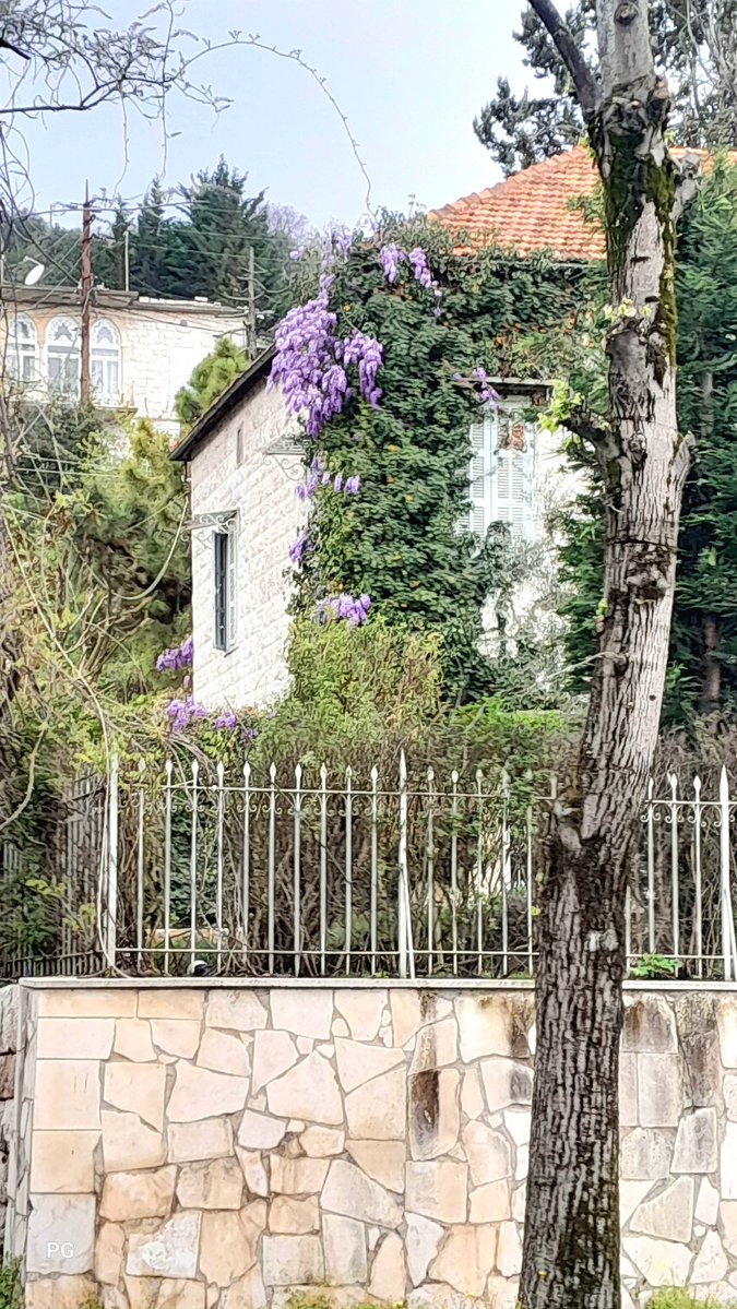 Pierre Gemayel tweet media