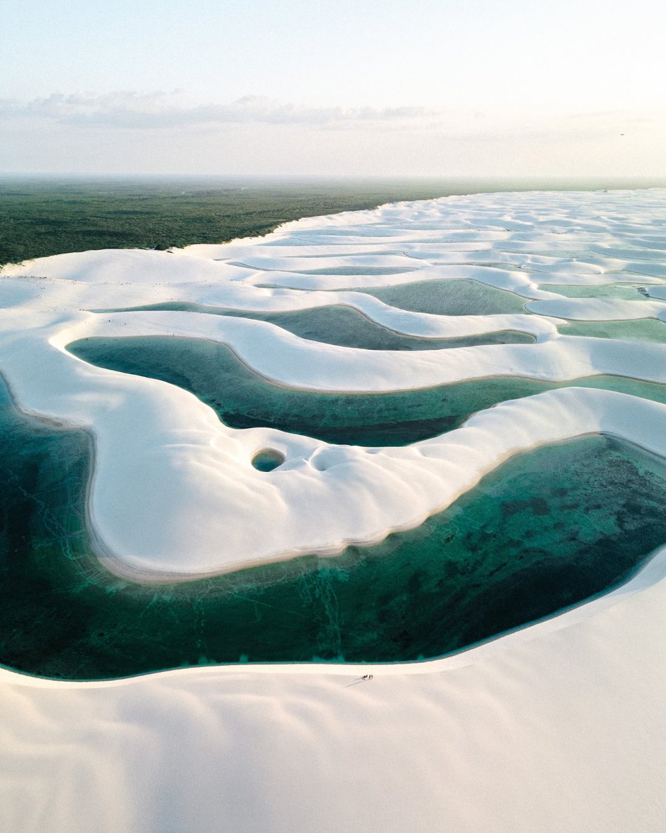 Surfrider Foundation tweet media