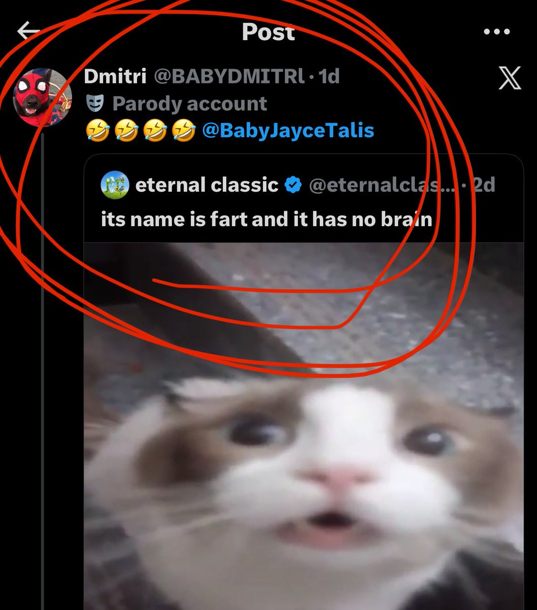 Jayce Talis! tweet media