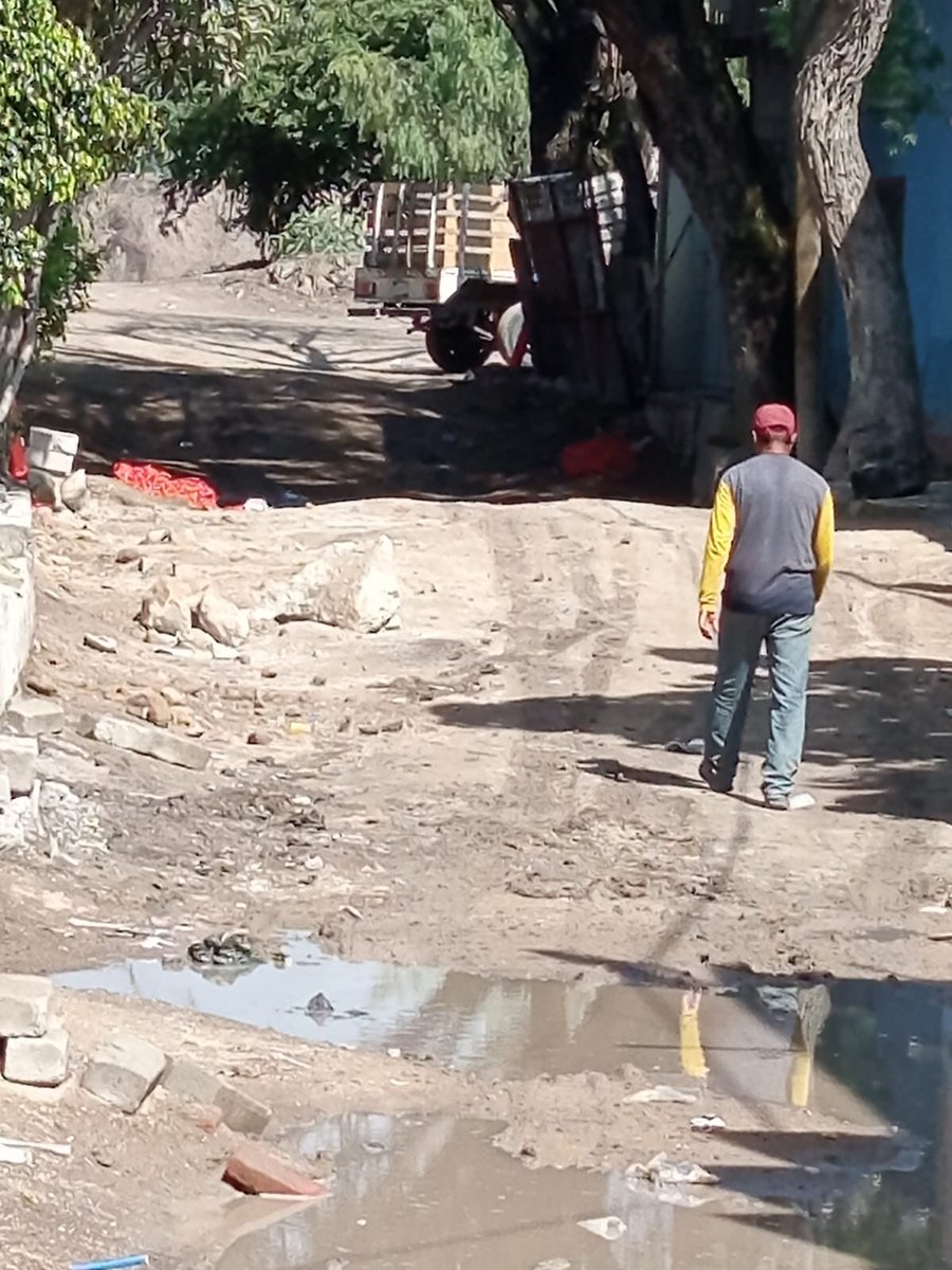 𝐀𝐯𝐬𝐞 𝐅𝐞𝐫𝐧𝐚𝐧𝐝𝐨 𝐅𝐥𝐨𝐫𝐞𝐬 tweet media