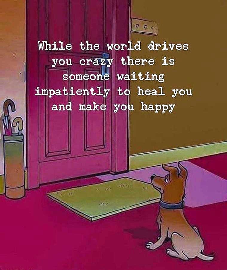 motivated_life1's tweet image. Who's your best friend? 🐾 

He's waiting at the door with his tail wagging, ready to bring some joy into your day! 

Don't keep him waiting any longer.
Give him some love and a bone! ❤️ 

#Bestfriend, #PetFriend

Did you have a good day?