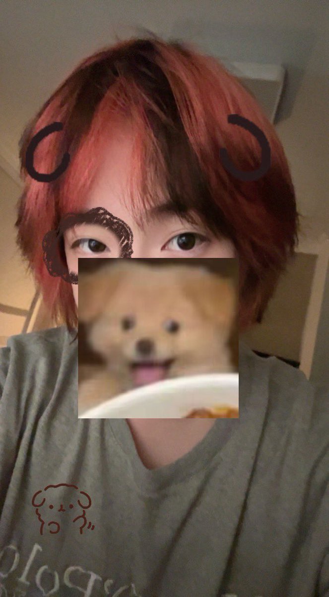 Two2_puppy tweet media