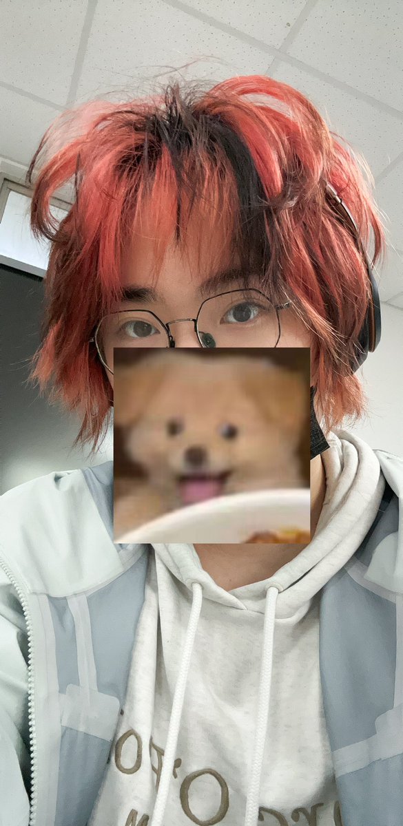 Two2_puppy tweet media