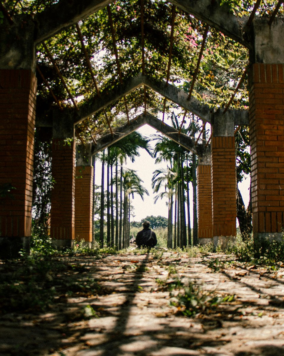 Avijit ghosh tweet media