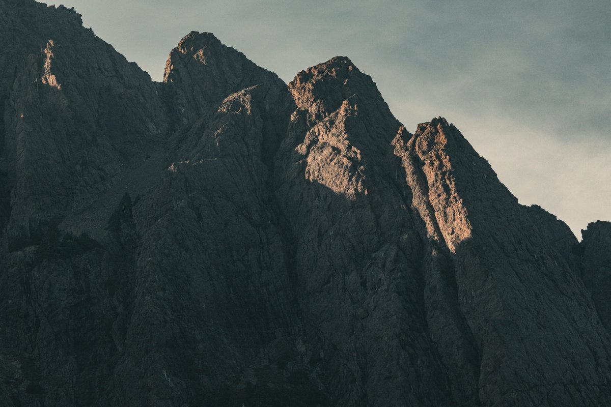 macaco2134 tweet media