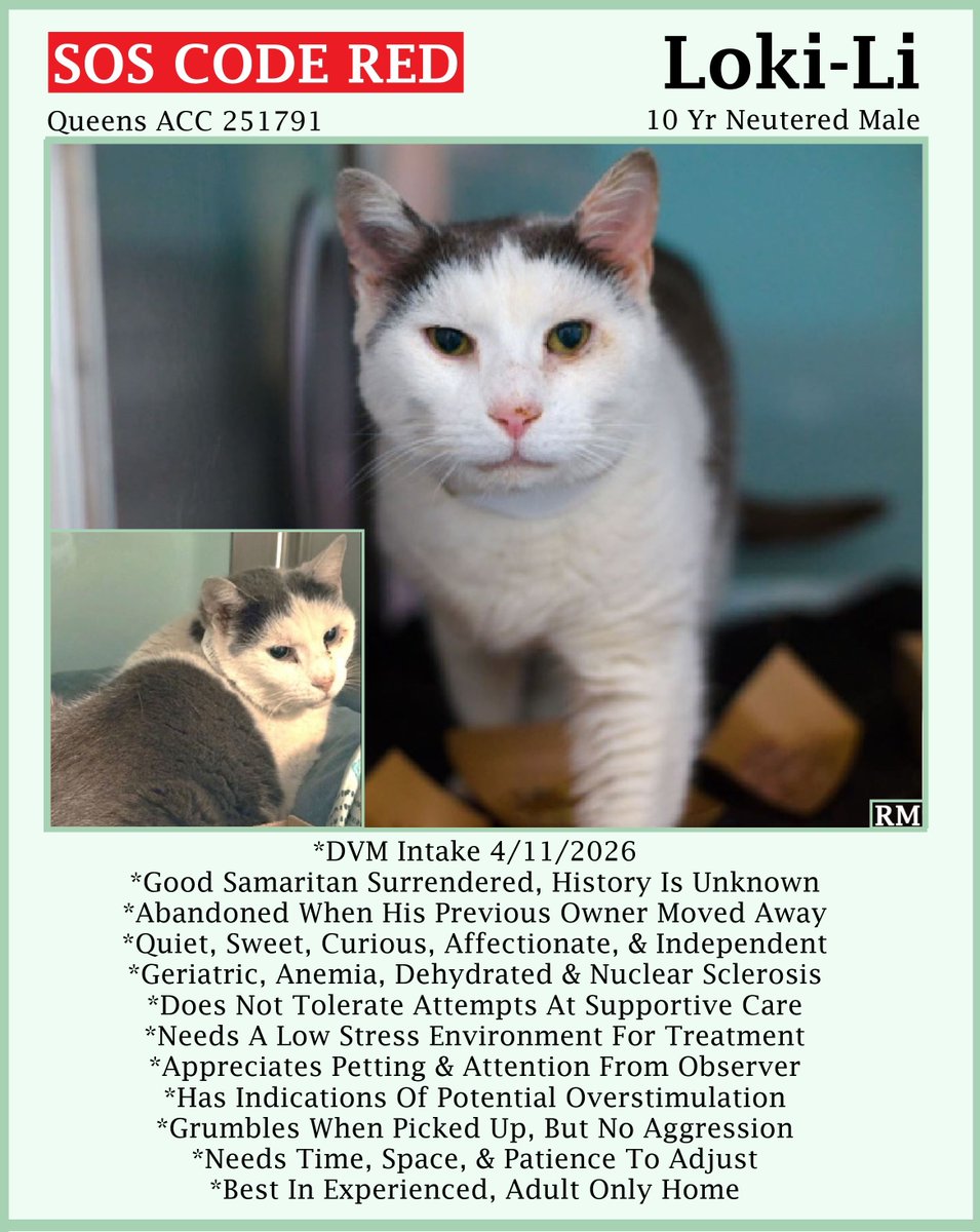 Renee' Martin tweet media