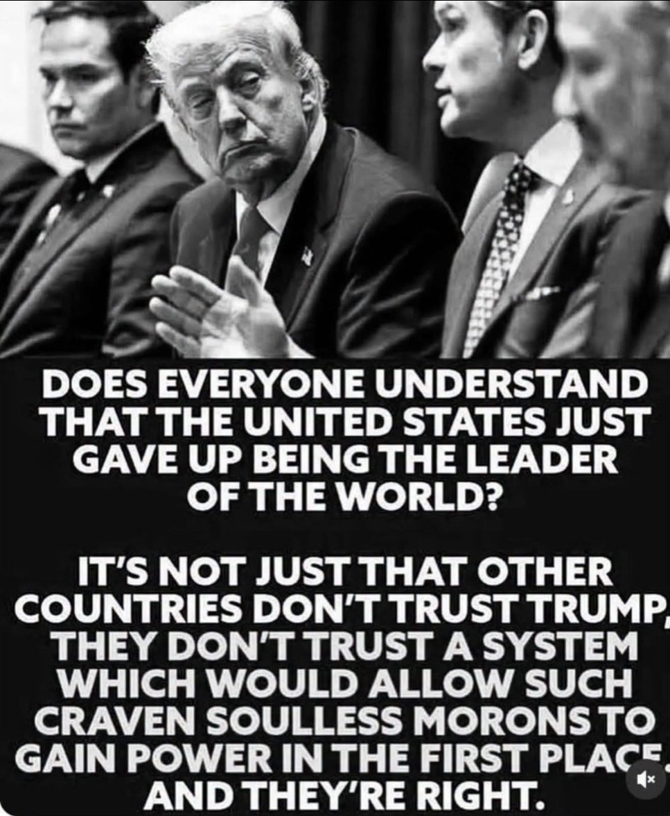 Elizabeth♏🏳️‍🌈🌊 tweet media