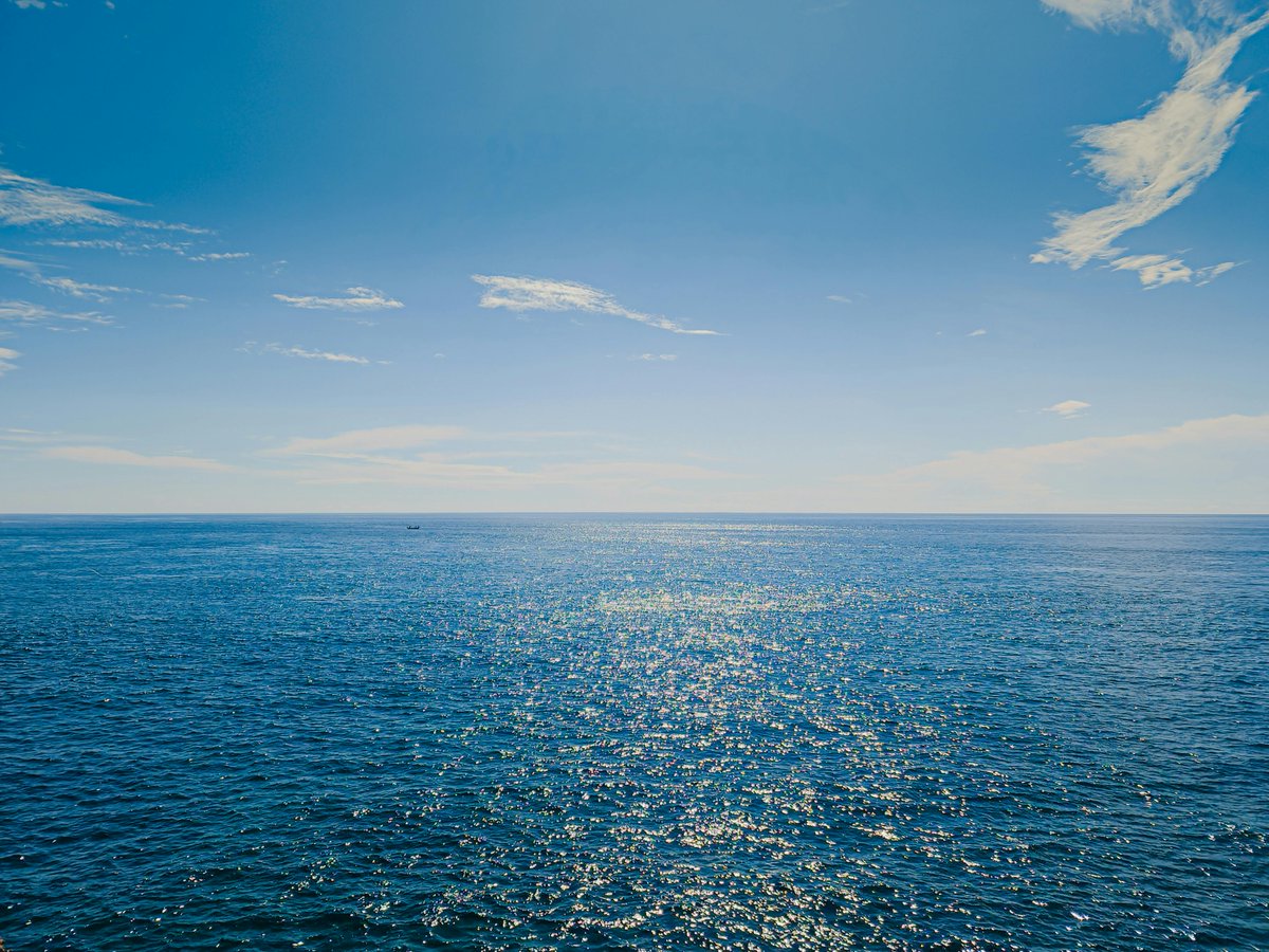 mdsafwan mdsafwan tweet media