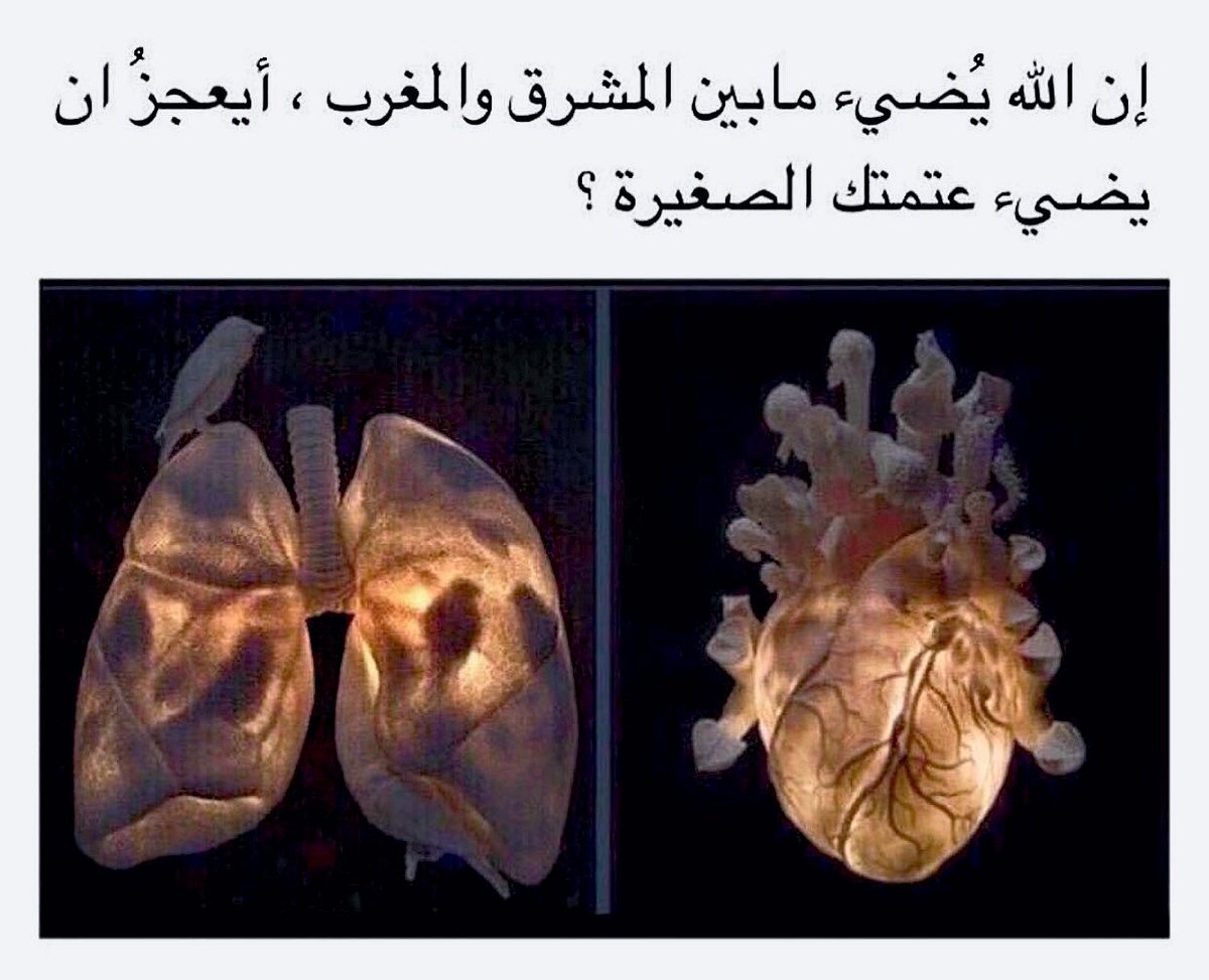 {وَمَن لَّمْ يَجْعَلِ اللَّهُ لَهُ نُورًا فَمَا لَهُ مِن نُّورٍ (40)}. [النور].

اللهم اهدنا لنورك ..
وأضئ قلوبنا بنورك ..
واجعل لنا نوراً من نورك ..
نمشي به في الدنيا والآخرة❤️🤲..