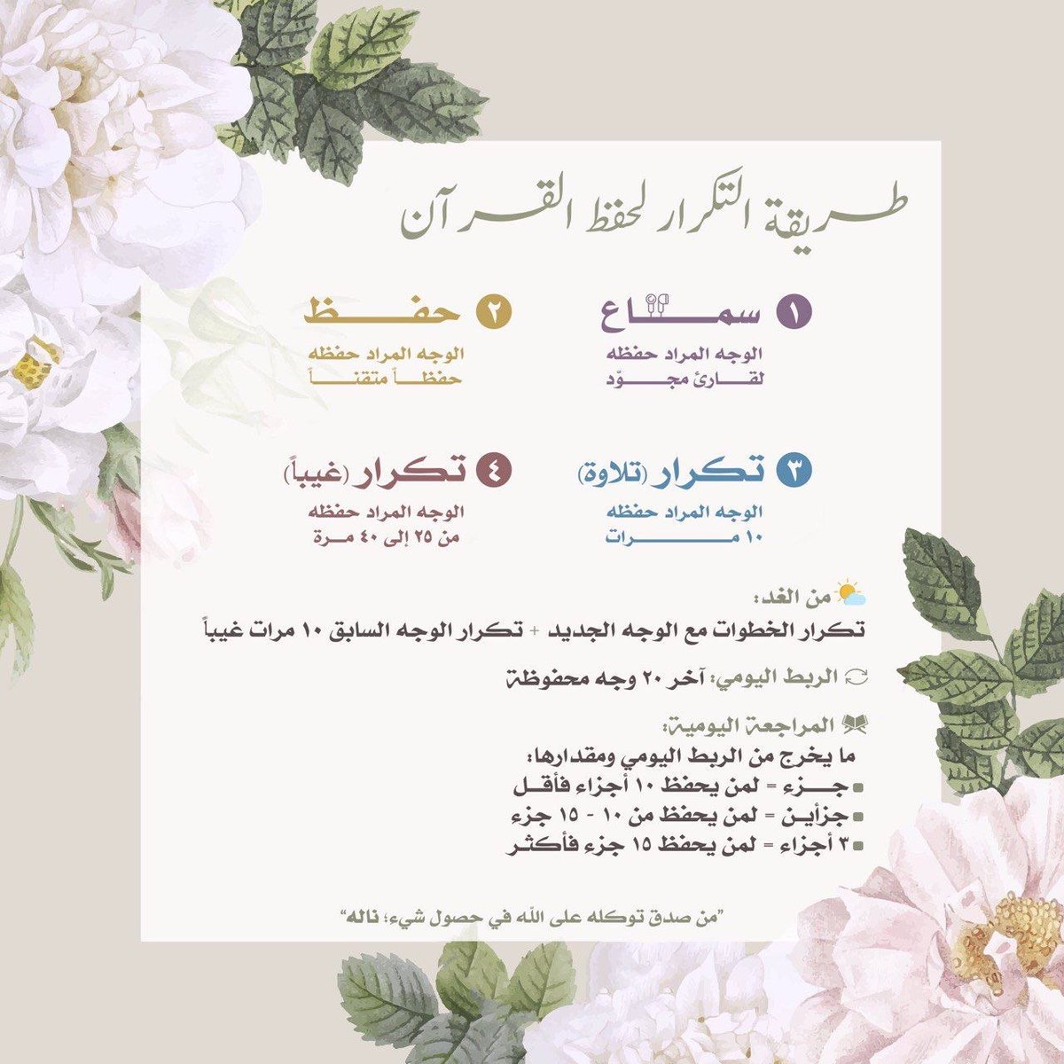 د. تسنيم هاشم المحلاوي tweet media