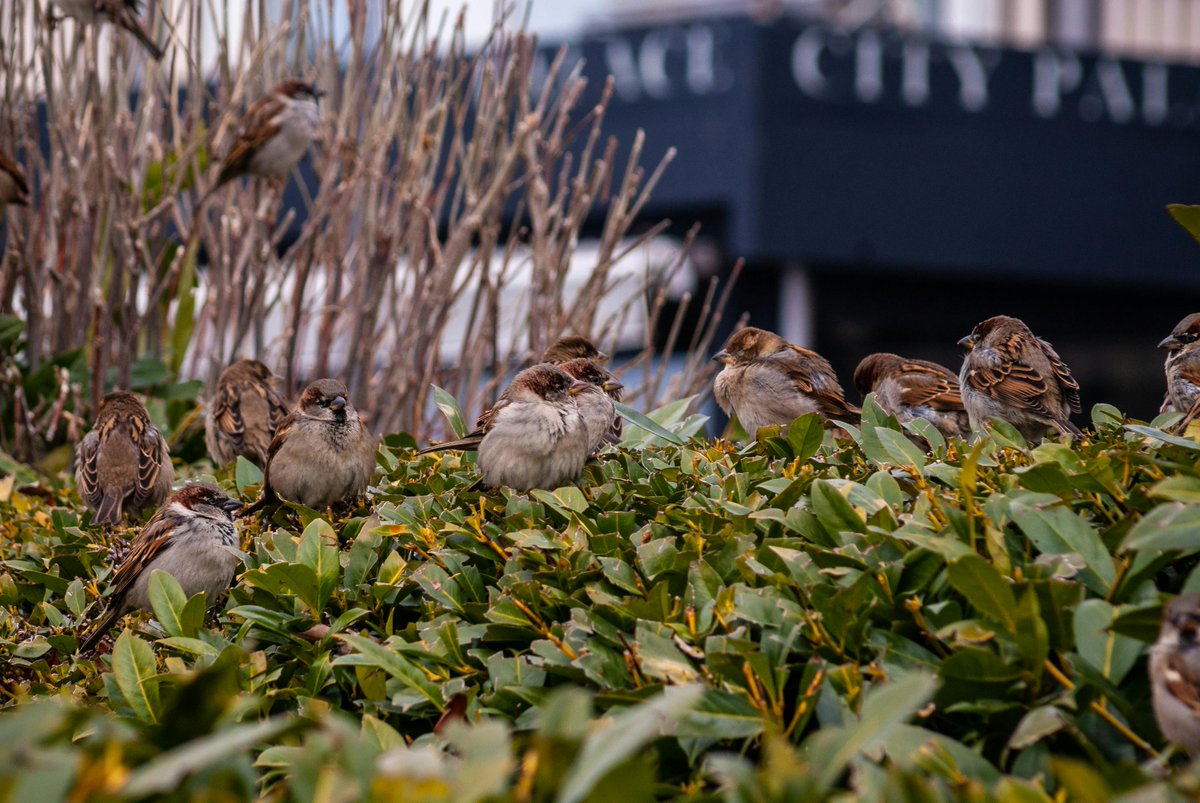 mdsafwan mdsafwan tweet media