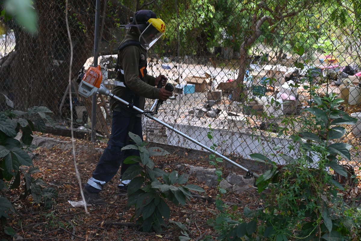 Puerto Manzanillo tweet media
