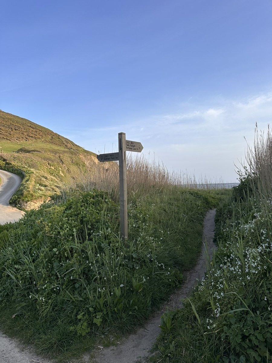 MsClareMBaker's tweet image. And this is what it’s all for. 

End of the working day #Cornish style