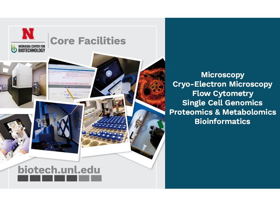 BiotechUNL's tweet image. Summer is right around the corner, which means field season is approaching! Our cores are here to support a wide range of research needs as you plan for the months ahead.

Reach out today! go.unl.edu/ika2

#Biotech #SummerResearch #FieldSeason #UNL
@UNLresearch