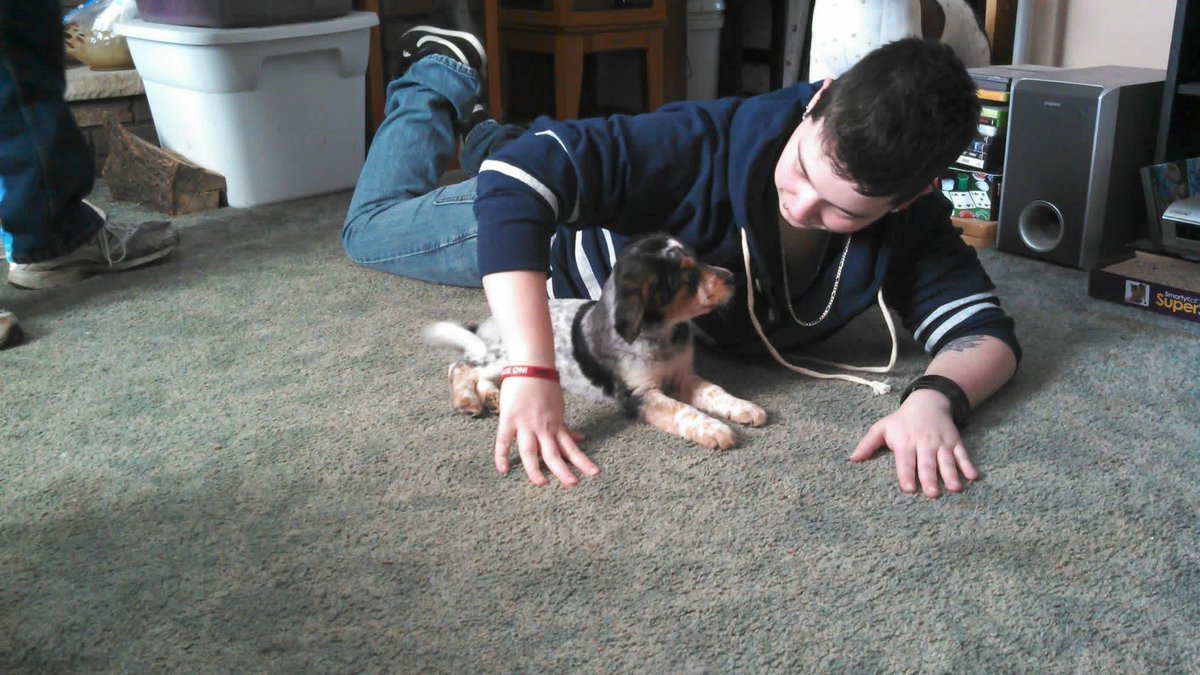 JustKid13 tweet media