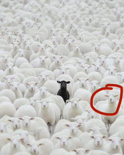 ваняс🇺🇦 tweet media