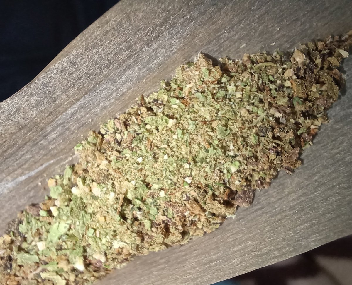 Vani 🖤 tweet media